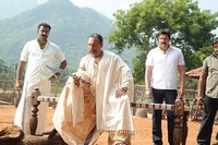 NTR Dammu Exclusive Stills